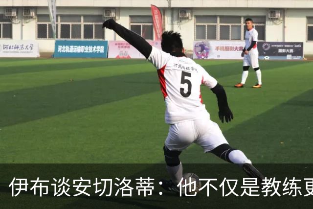 伊布谈安切洛蒂：他不仅是教练更是管理者 执教巴西对他是挑战